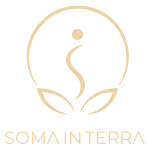SOMAINTERRA logo